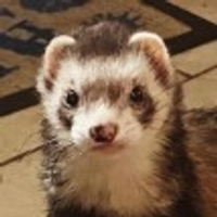 Random Axe of Kindness