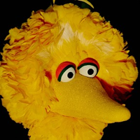 Big Bird