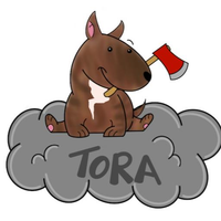 Tora 🌩️