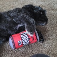 FARMER 🧑‍🌾 Shawn