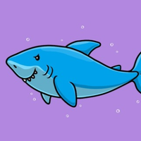 Baby Shark 🦈