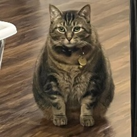 Uwu (′ꈍωꈍ‵)