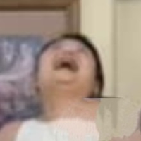 Succulent Chinese🥢Throw