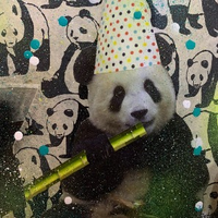 Party Panda